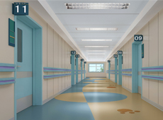 省級醫用門案例